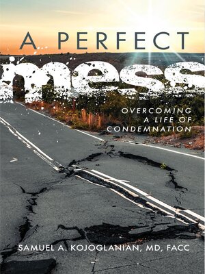 cover image of A Perfect Mess